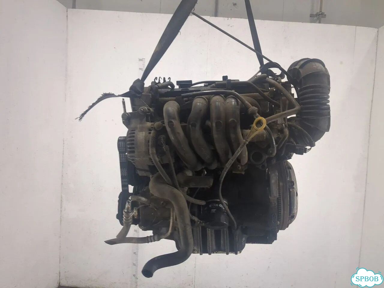 Двигатель Ford Focus 1 FYD фото 4