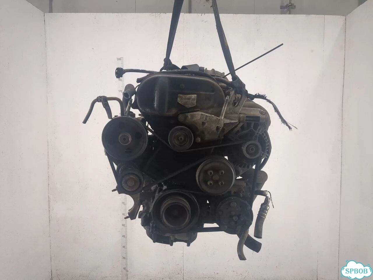 Двигатель Ford Focus 1 FYD фото 5