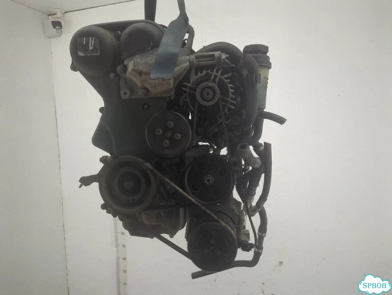 Двигатель Ford Focus 2 shda, shdc фото 1