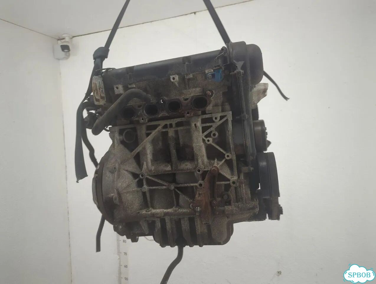 Двигатель Ford Focus 2 shda, shdc фото 2