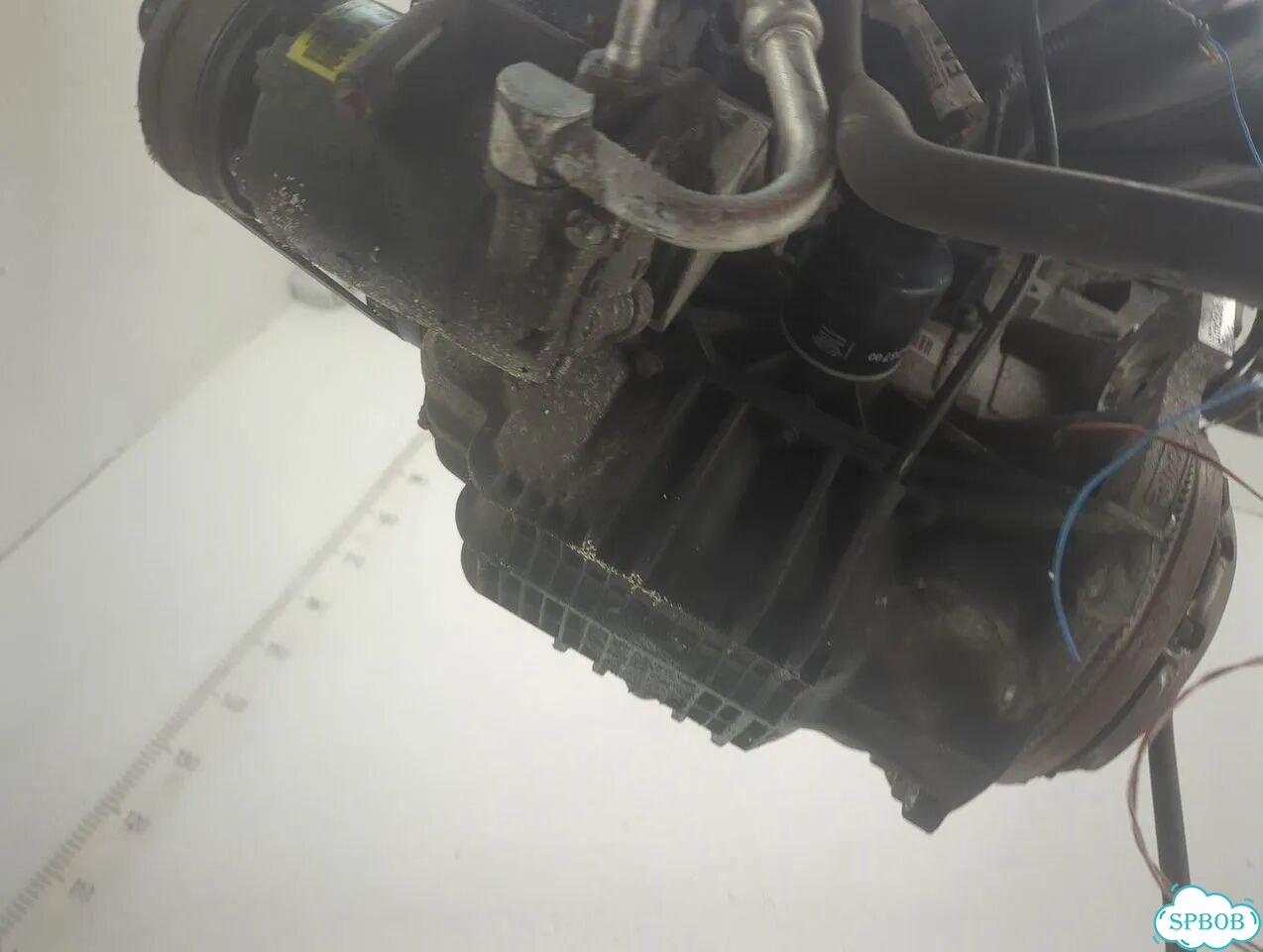 Двигатель Ford Focus 2 shda, shdc фото 6