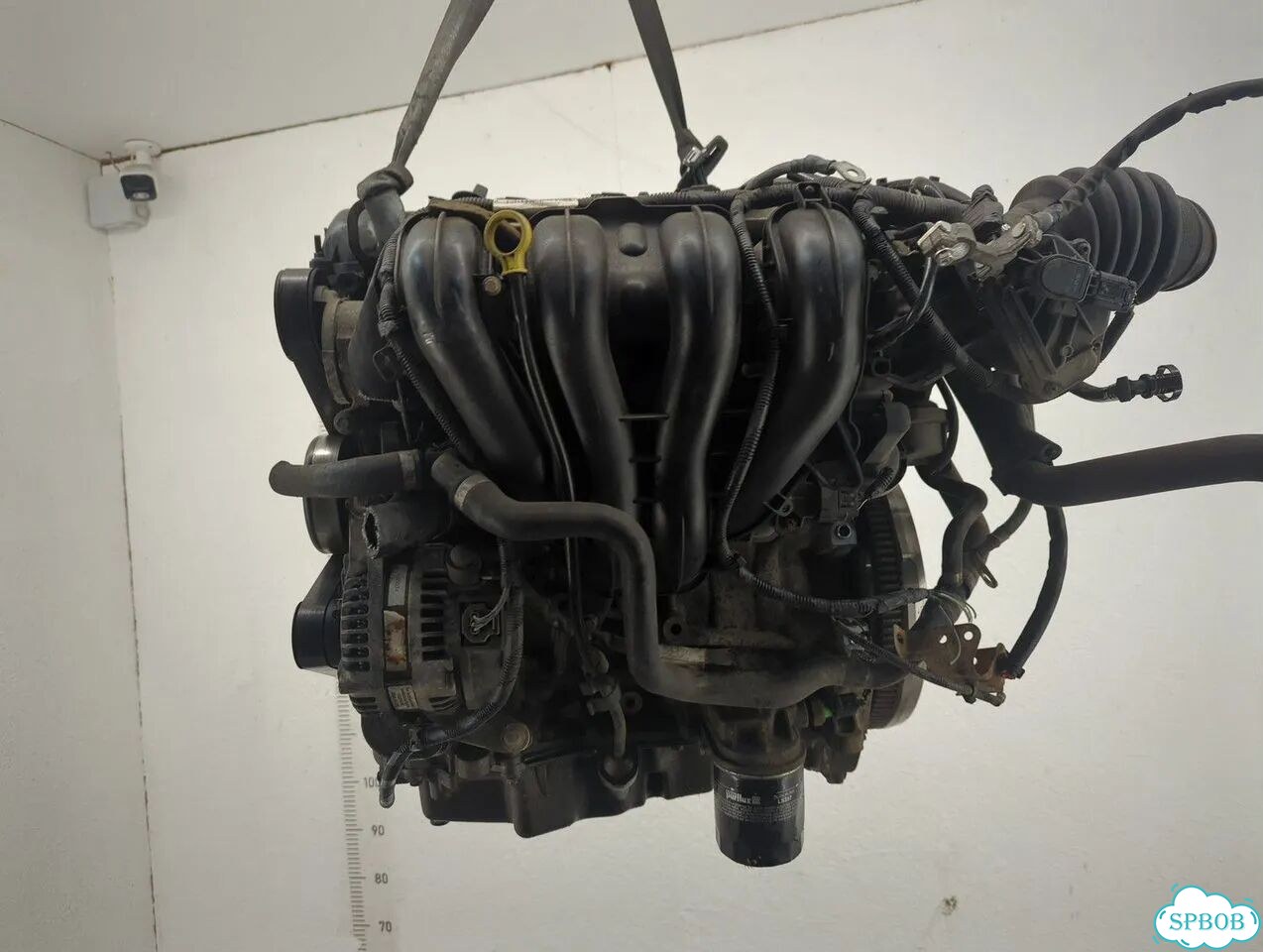 Двигатель Ford Focus 2 aoda, aodb фото 3