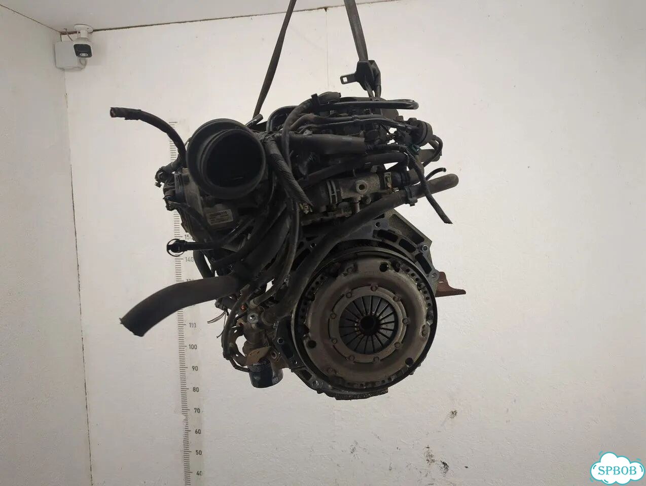 Двигатель Ford Focus 2 aoda, aodb фото 4