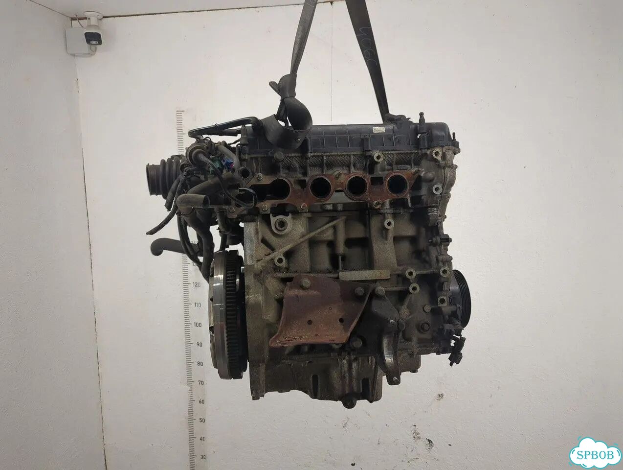 Двигатель Ford Focus 2 aoda, aodb фото 5