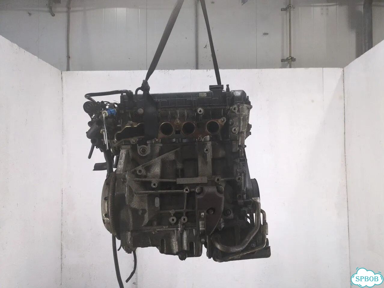 Двигатель Ford Focus 2 qqdb фото 3