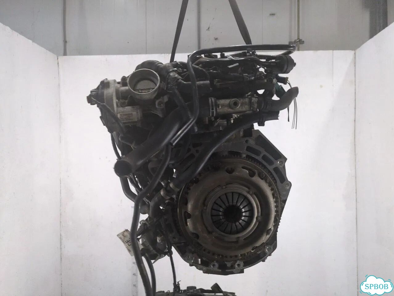 Двигатель Ford Focus 2 qqdb фото 4