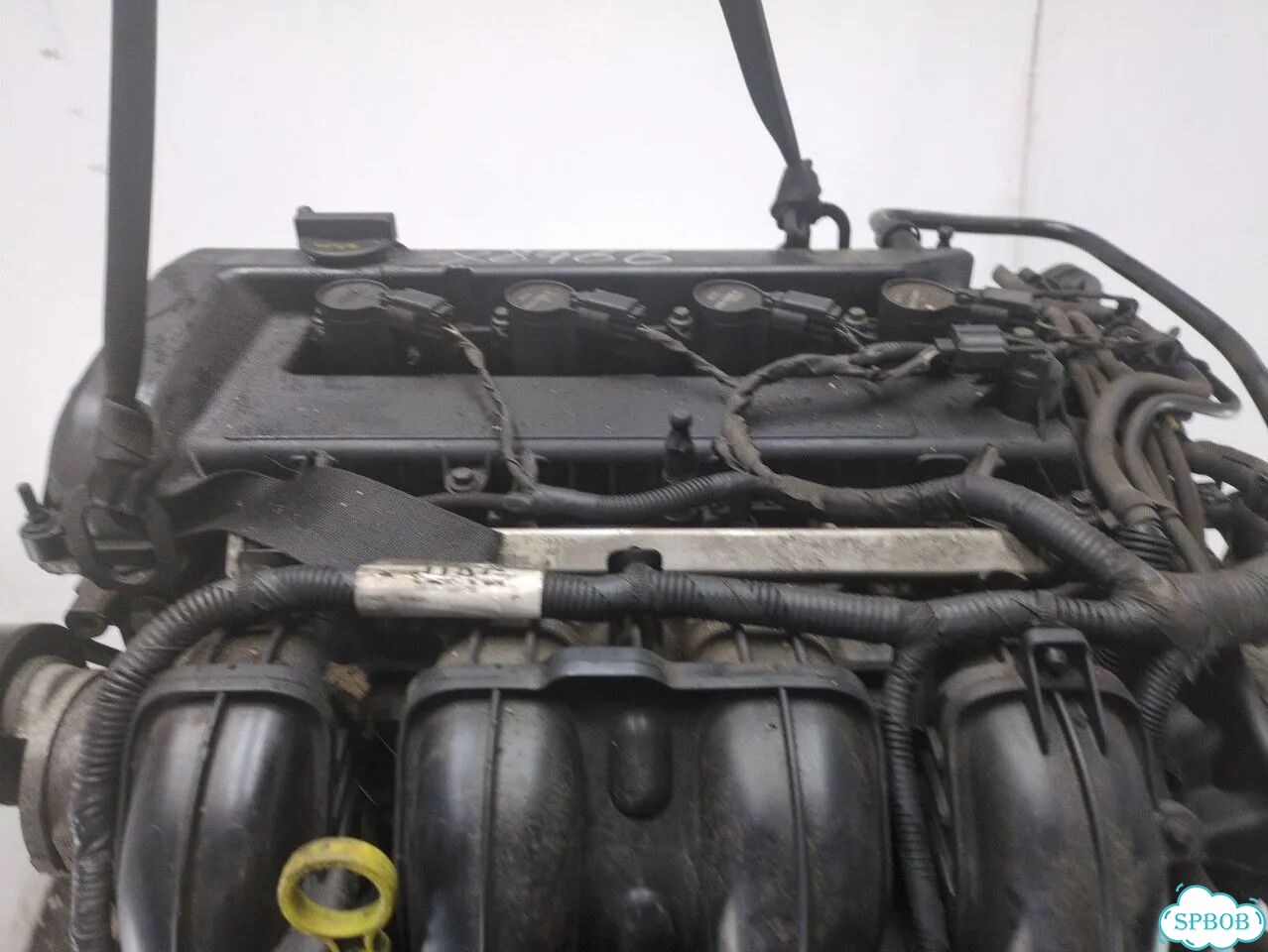 Двигатель Ford Focus 2 qqdb фото 5