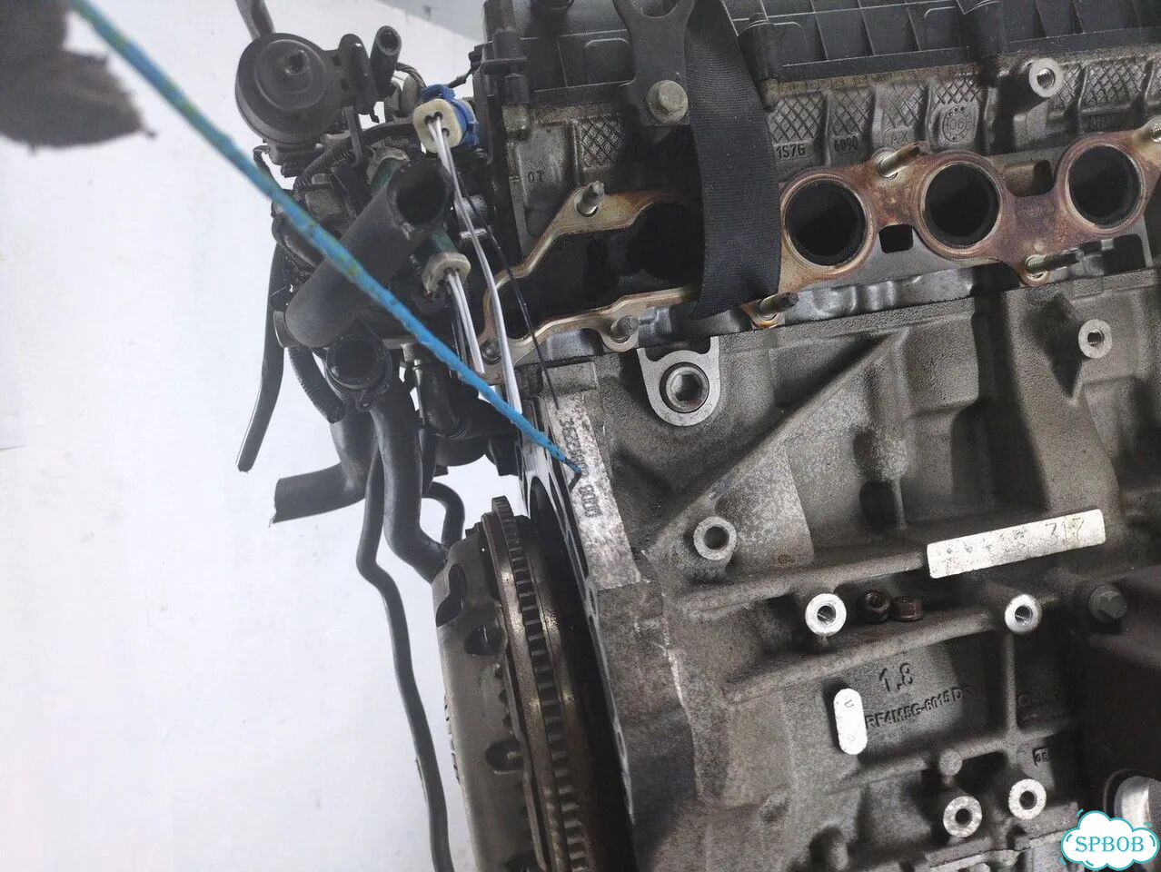 Двигатель Ford Focus 2 qqdb фото 8