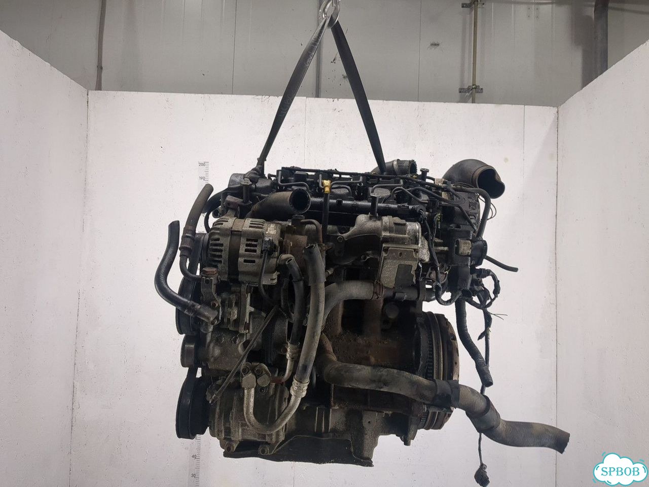 Двигатель киа Sportage D4EA-F фото 5