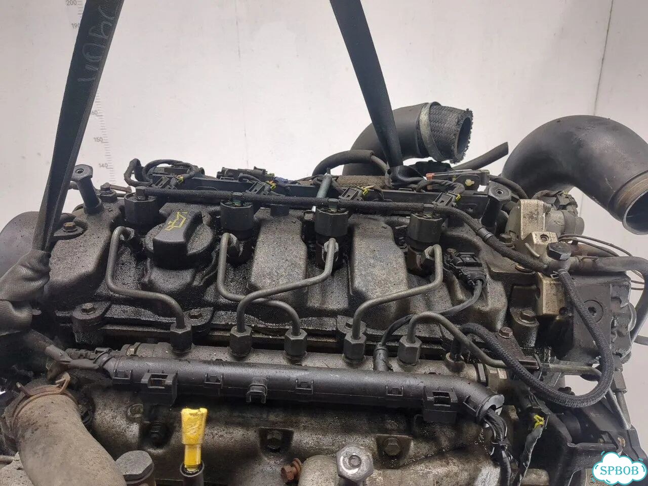 Двигатель киа Sportage D4EA-F фото 6