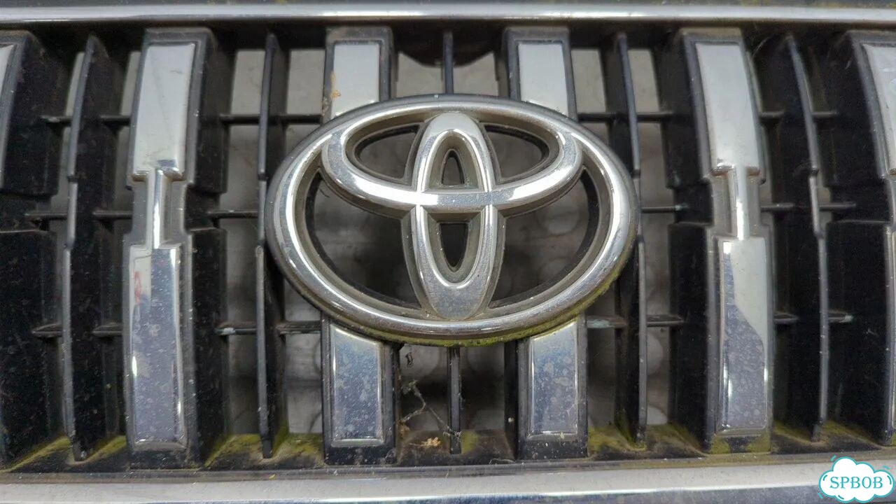Решетка радиатора Toyota Land Cruiser Prado (90) фото 3