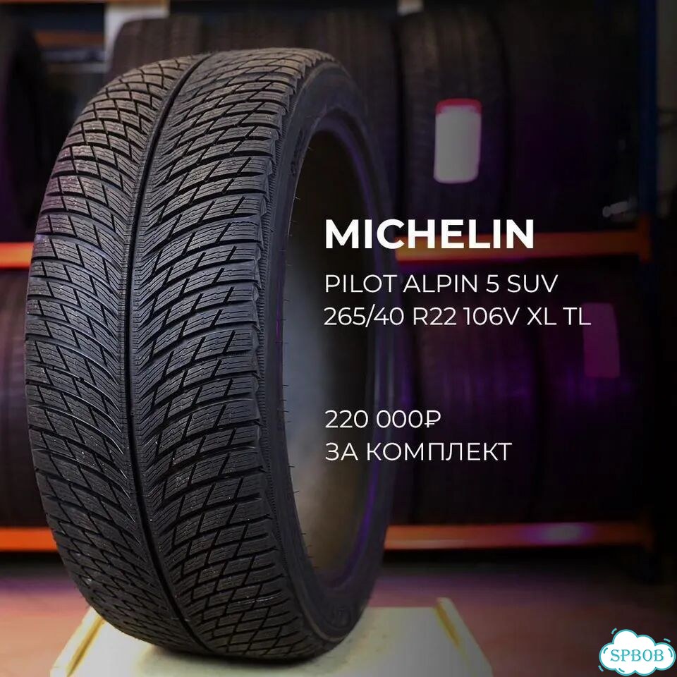 MICHELIN Pilot Alpin 5 SUV 285/45 R21 фото 1