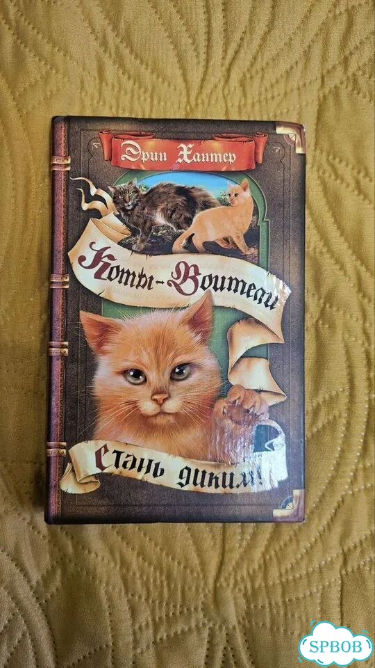 Детские книги фото 9