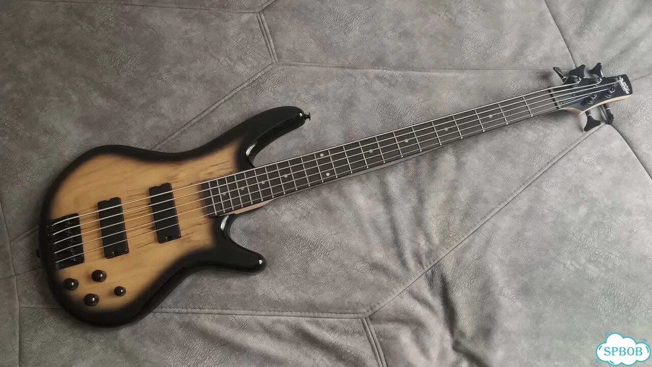 Пятиструнная бас-гитара Ibanez GSR205SM фото 1