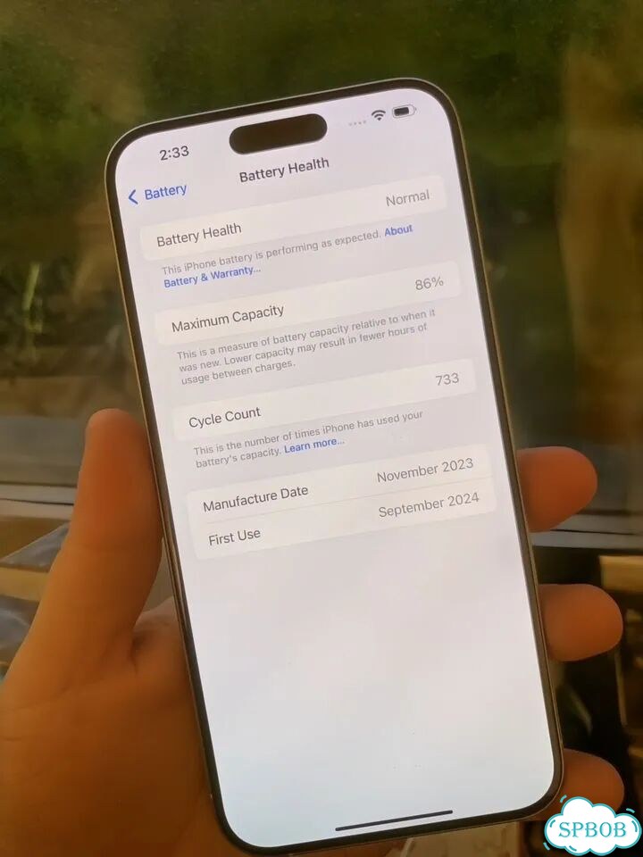 iPhone 15 Pro Max, 256 ГБ, SIM + eSIM фото 2