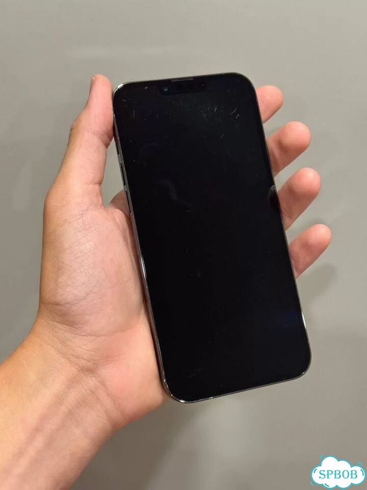 iPhone 13 Pro Max, 256 ГБ, SIM + eSIM фото 2