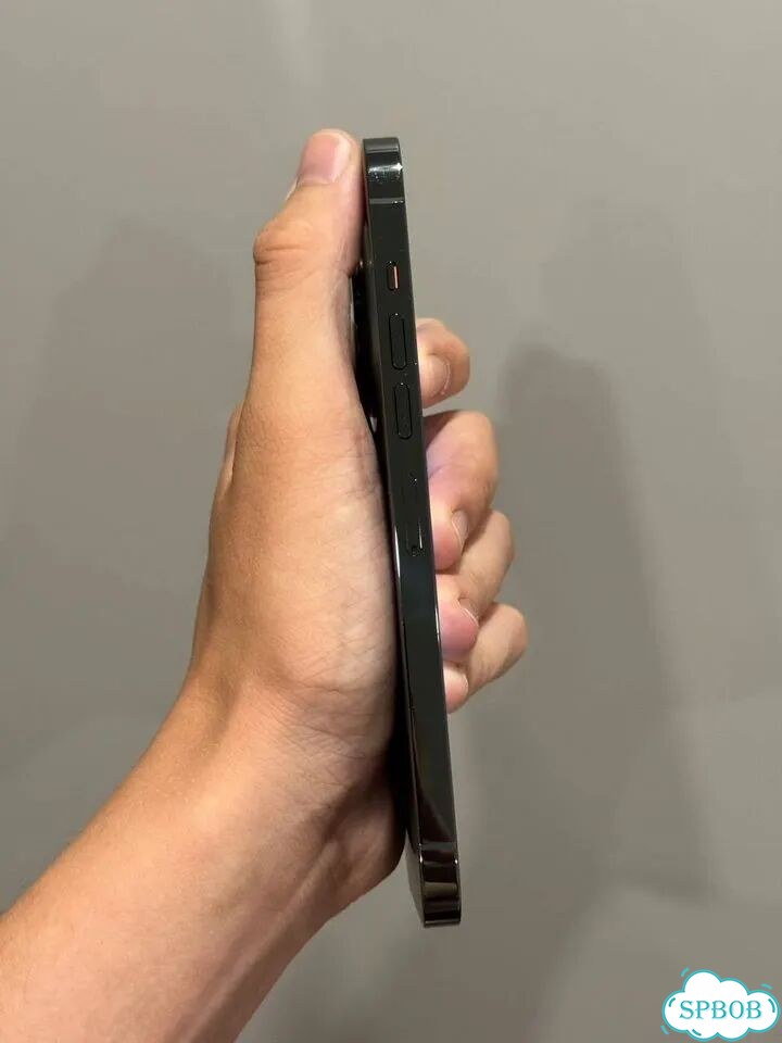 iPhone 13 Pro Max, 256 ГБ, SIM + eSIM фото 3