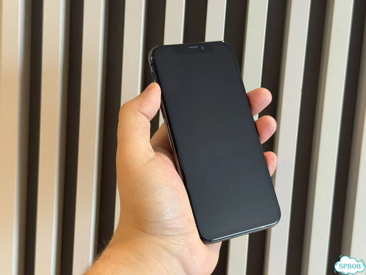 iPhone X, 256 ГБ, SIM + eSIM фото 6