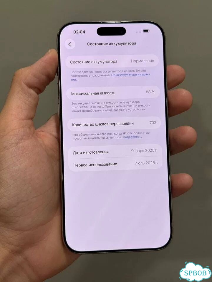 iPhone 16 Pro Max, 256 ГБ, SIM + eSIM фото 8