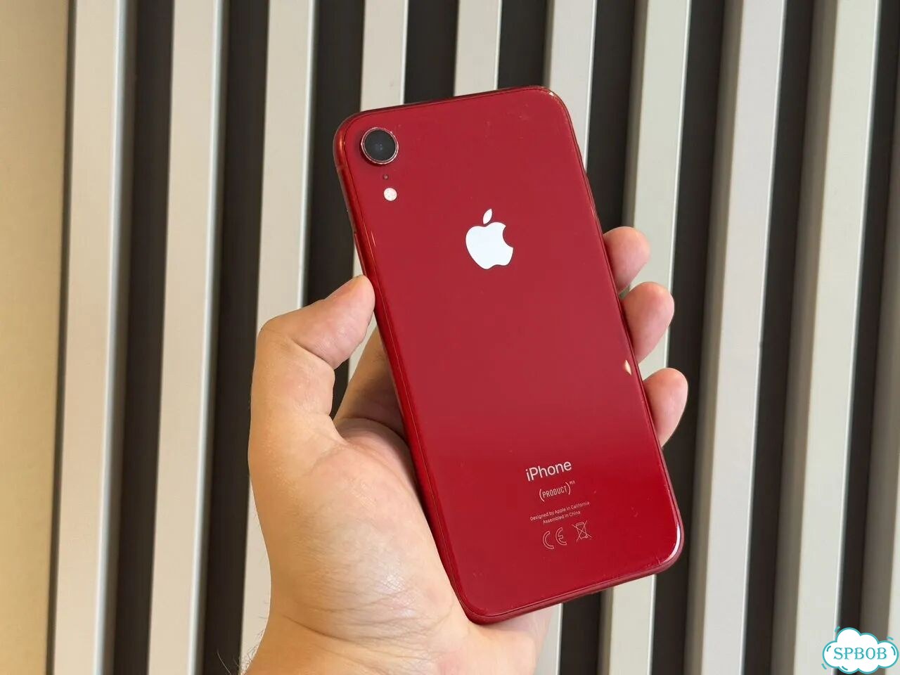 iPhone Xr, 64 ГБ, SIM + eSIM фото 1