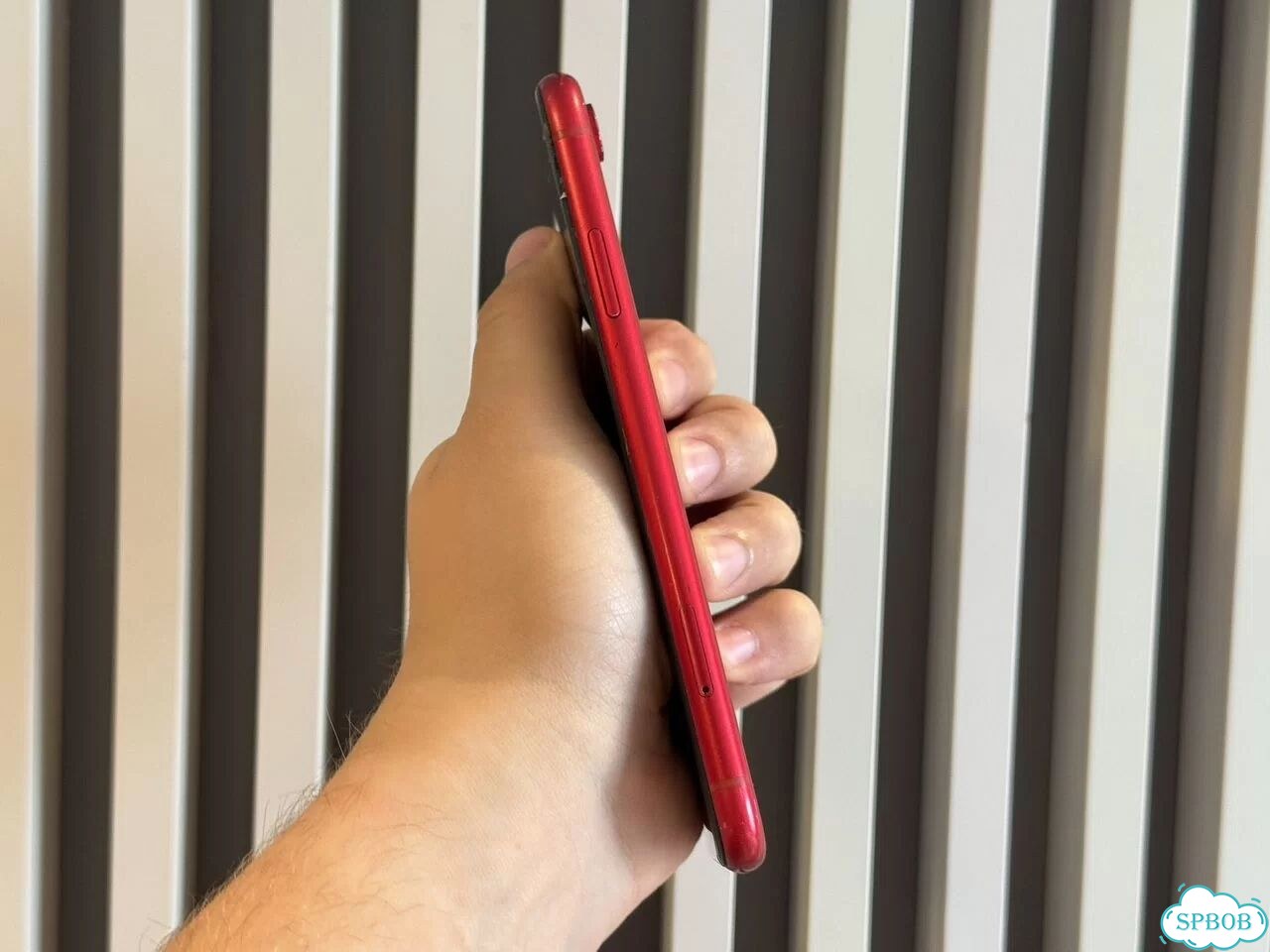 iPhone Xr, 64 ГБ, SIM + eSIM фото 2