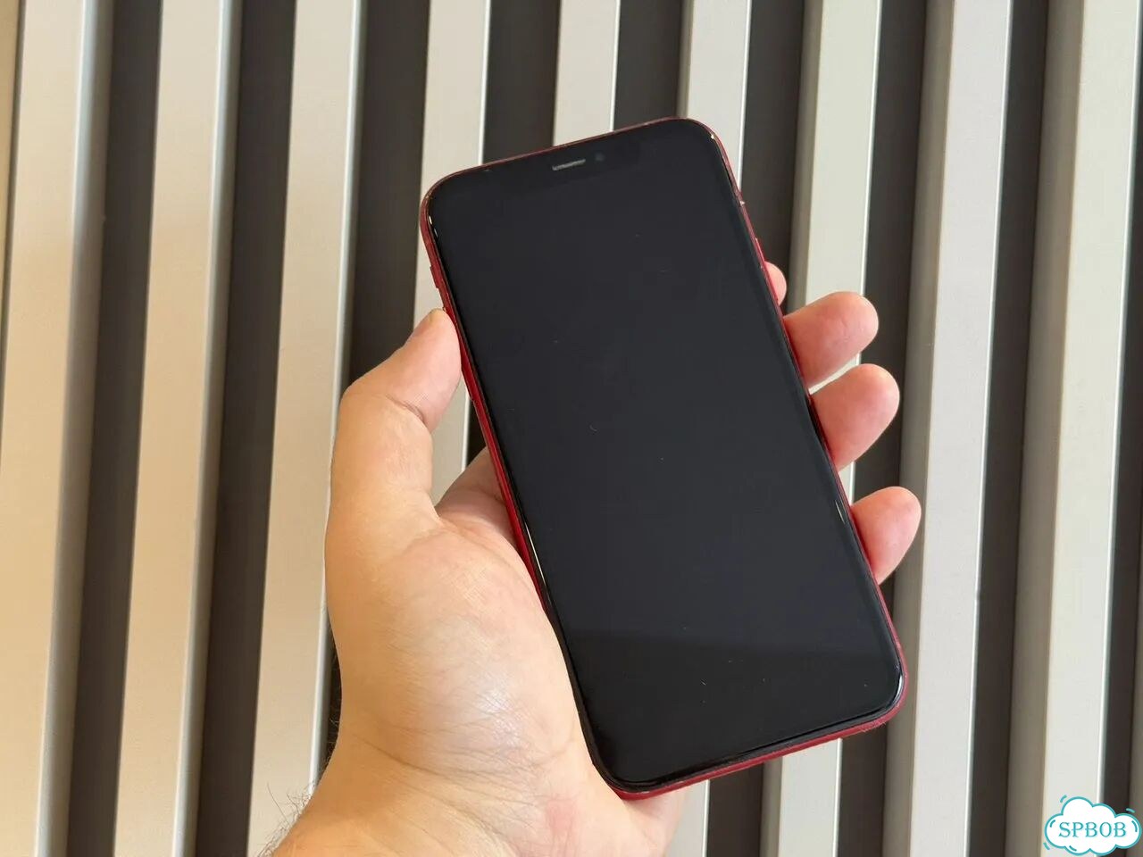 iPhone Xr, 64 ГБ, SIM + eSIM фото 6