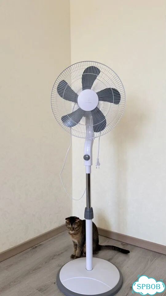 Вентилятор electrolux EFF-1003D фото 1
