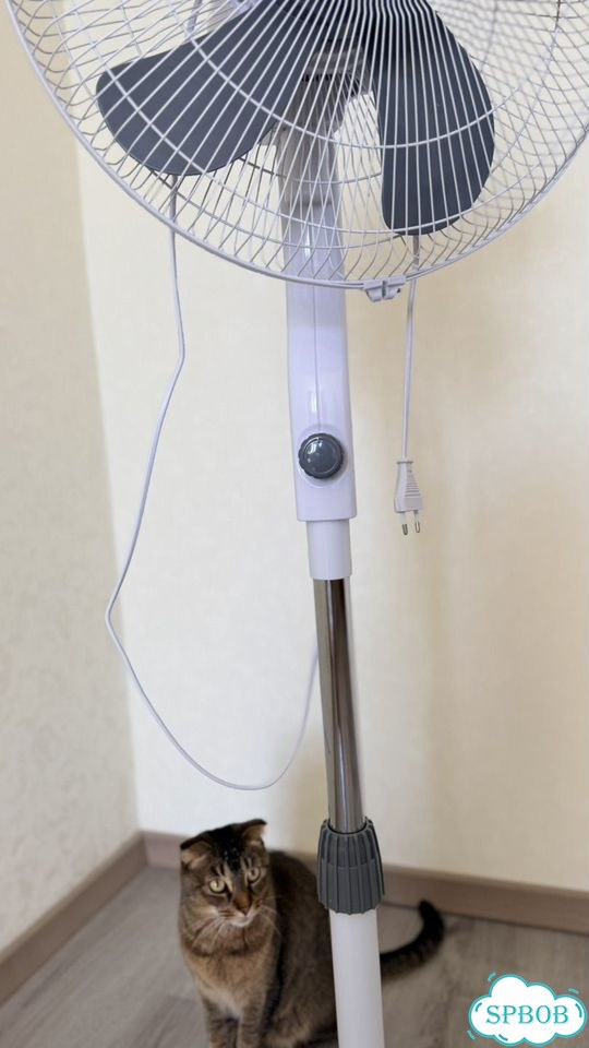 Вентилятор electrolux EFF-1003D фото 5