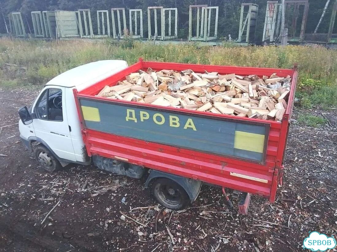 Дрова колотые березовые фото 1