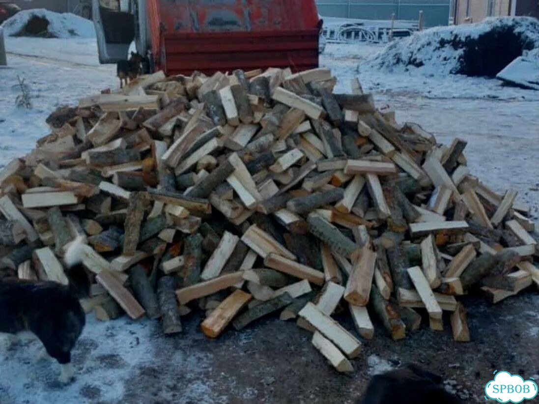Дрова колотые березовые фото 10