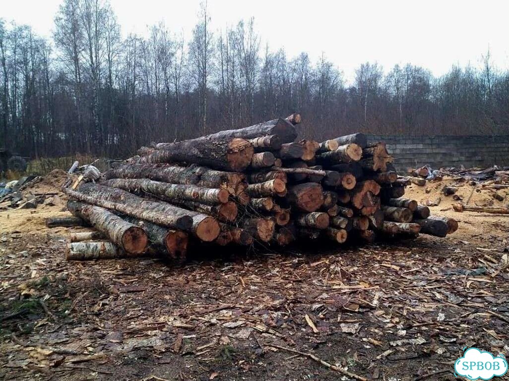 Березовые дрова фото 1