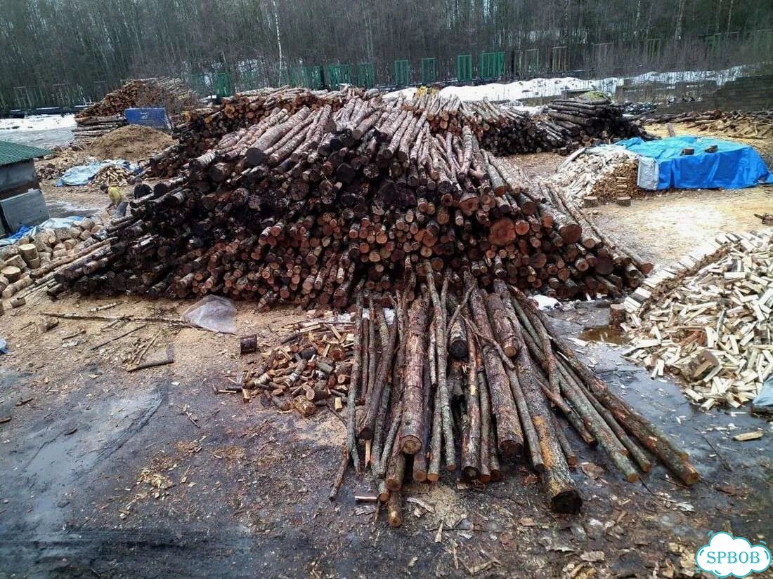Березовые дрова фото 10