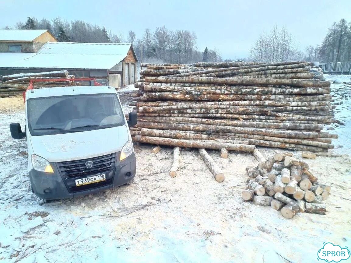 Березовые дрова фото 7