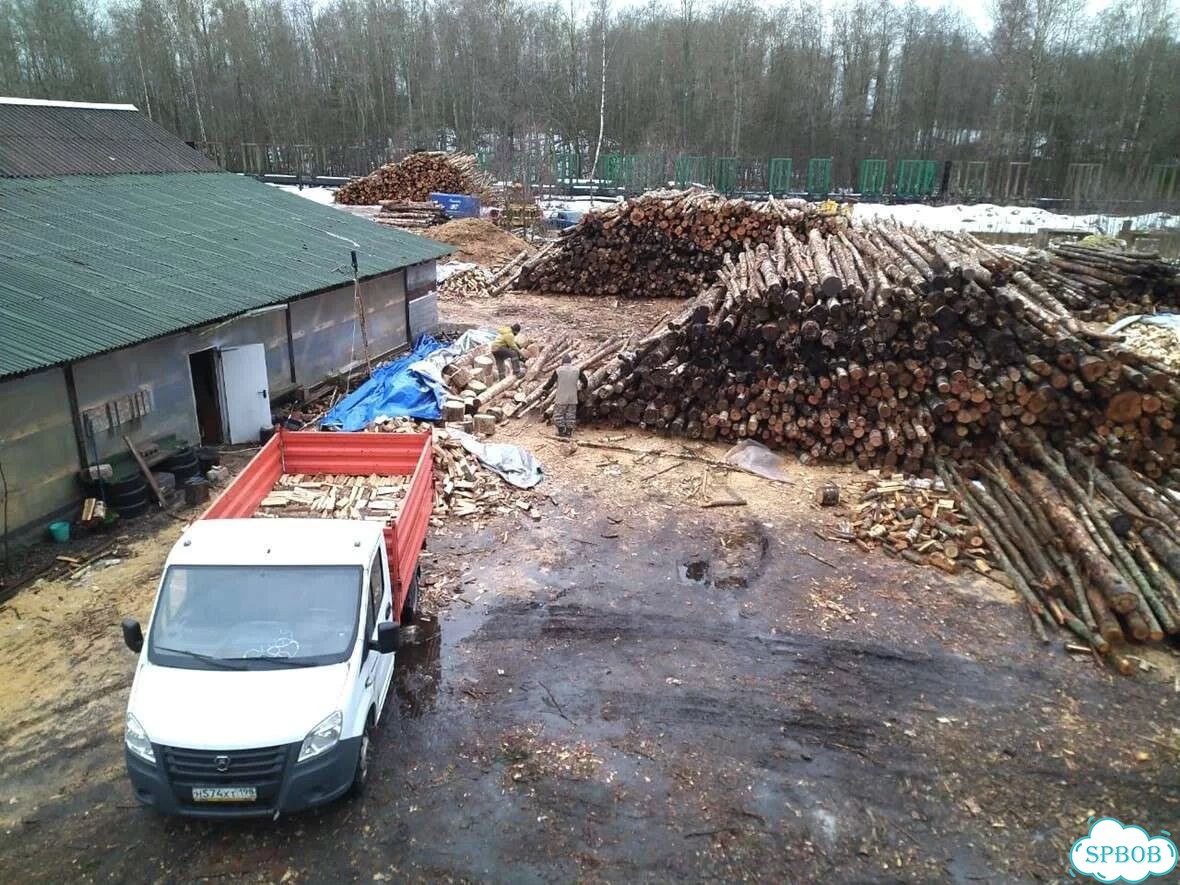Березовые дрова фото 9