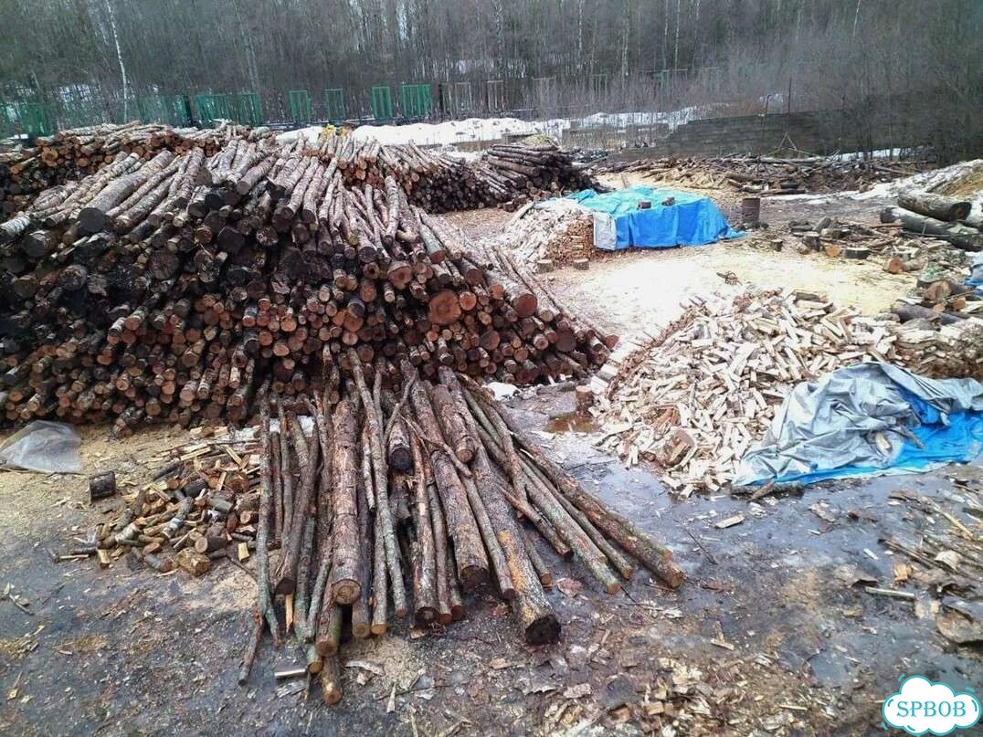 Дрова колотые березовые фото 5