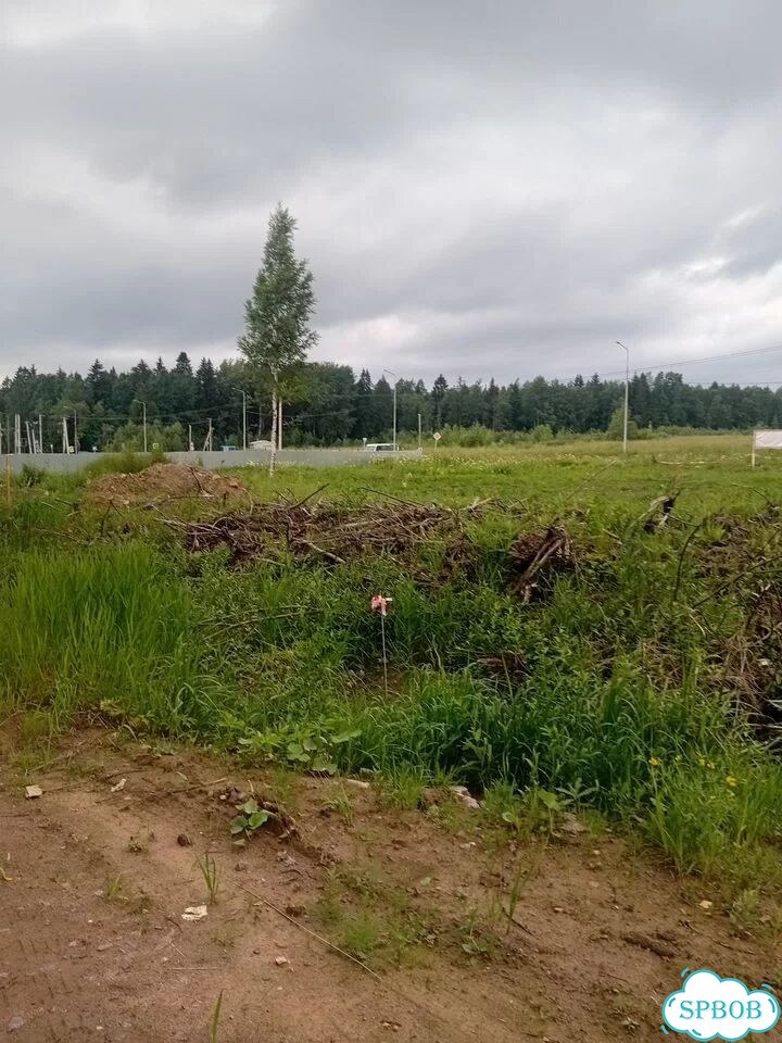 Участок 15 сот. (ИЖС) фото 3