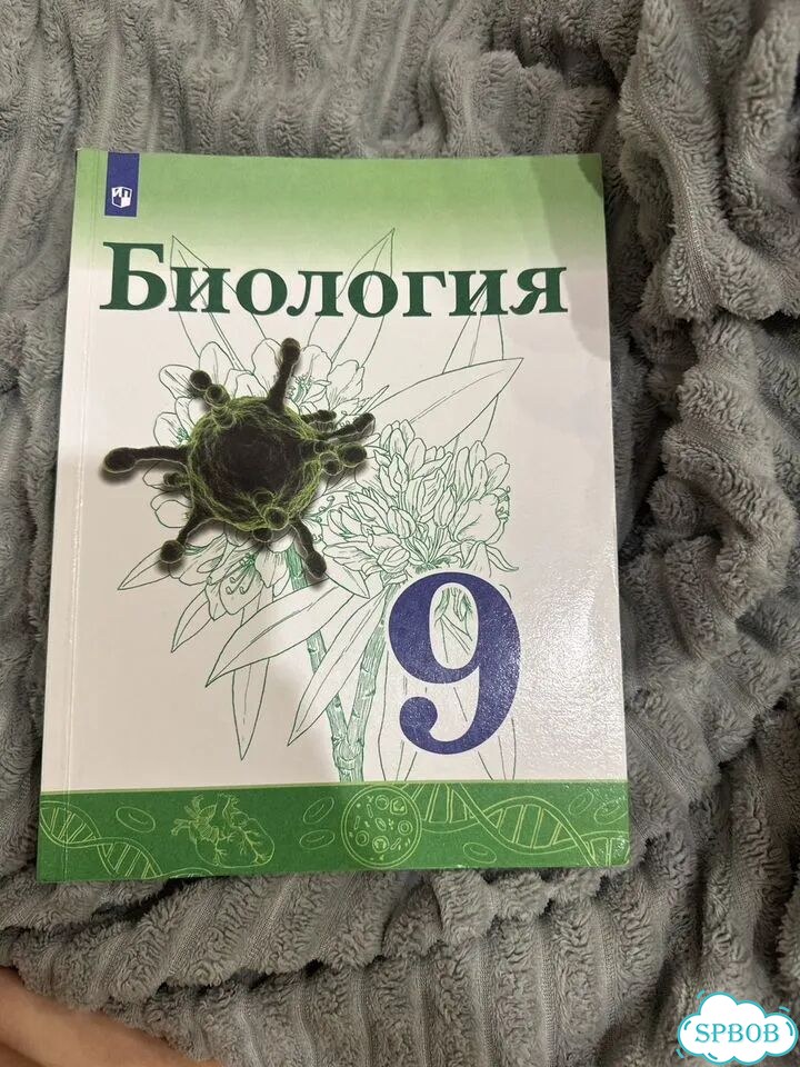 Учебник фото 1