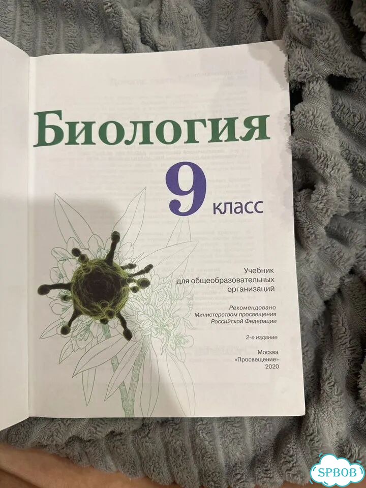 Учебник фото 3