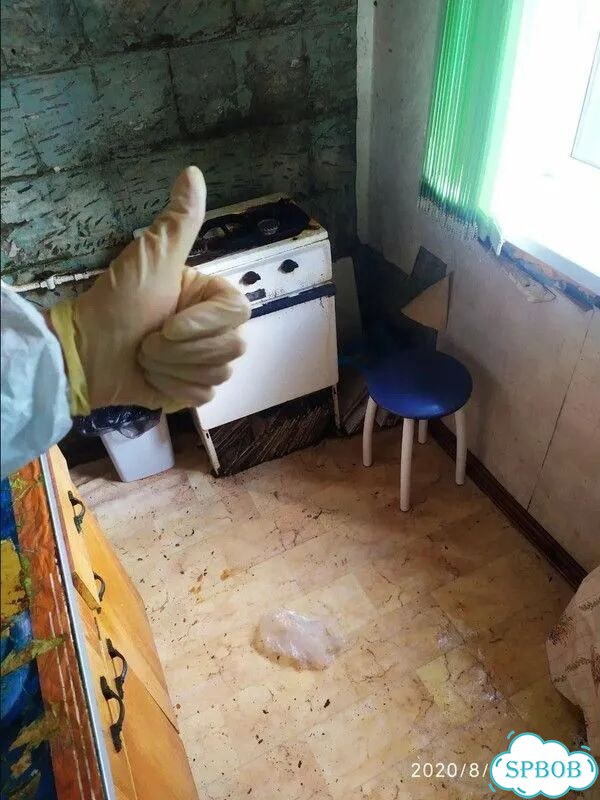 Уничтожение клопов и тараканов. Дезинфекция фото 4