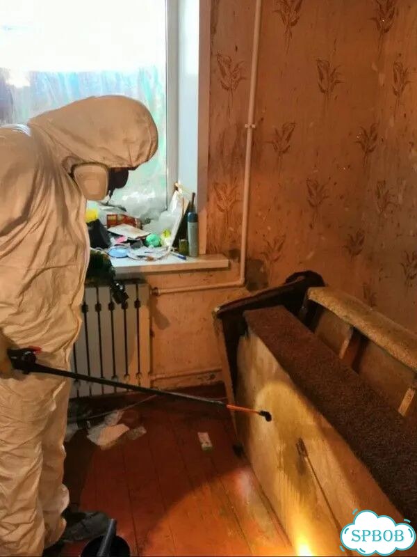 Уничтожение клопов и тараканов. Дезинфекция фото 6