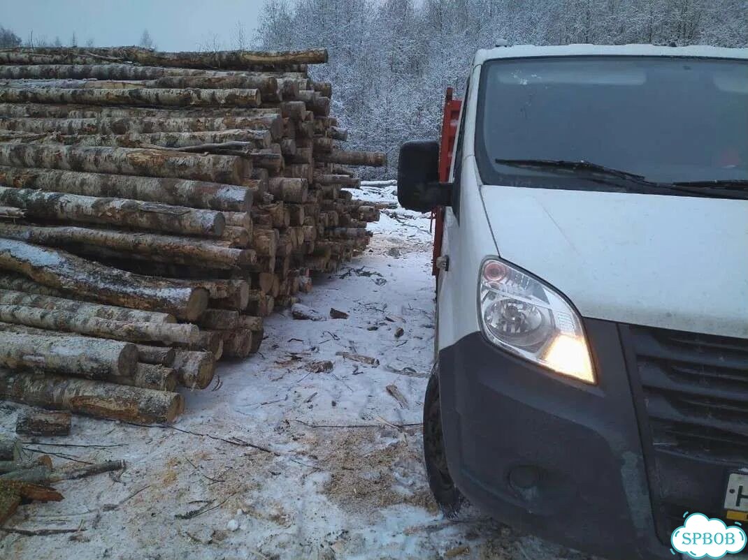 Дрова фото 3