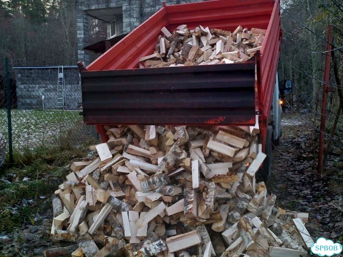 Березовые дрова фото 10