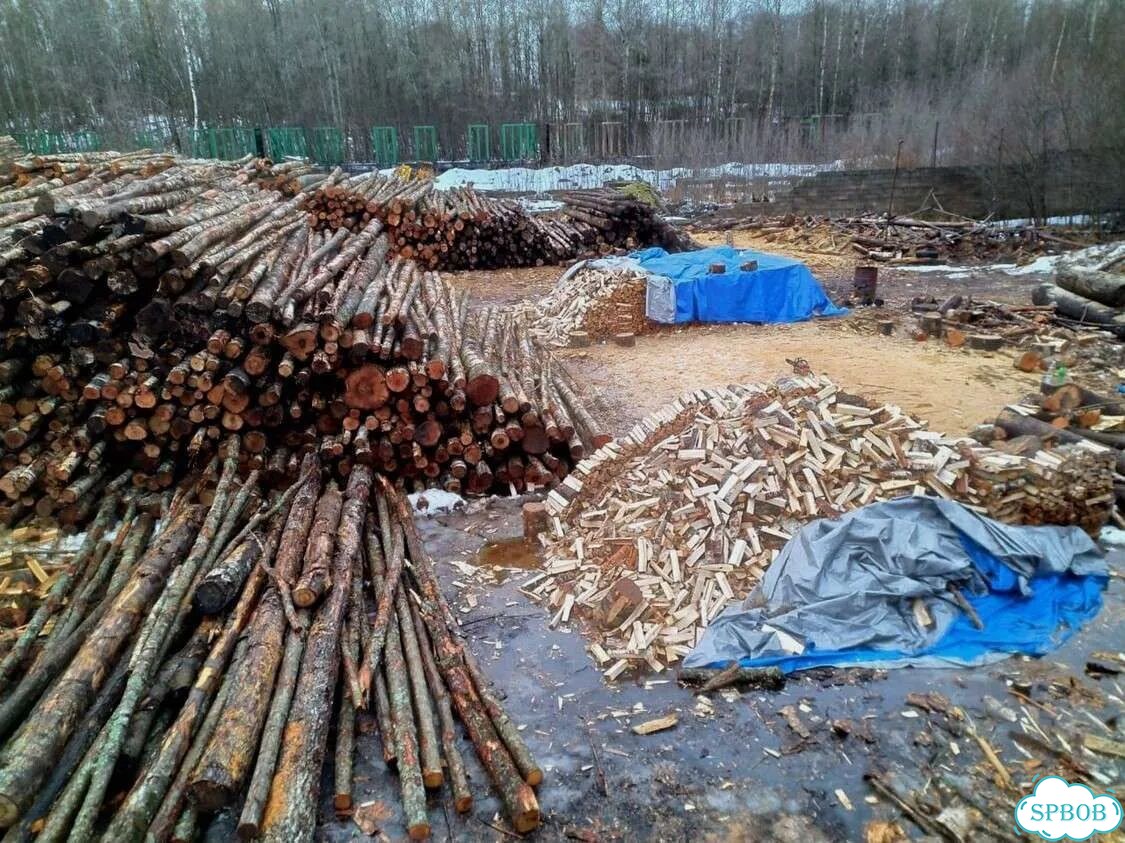 Березовые дрова фото 2