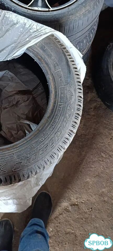 Cordiant Polar 175/65 R14 фото 2