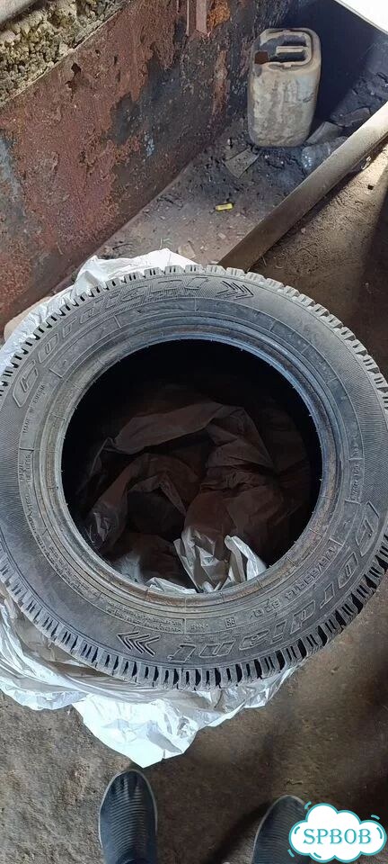 Cordiant Polar 175/65 R14 фото 3