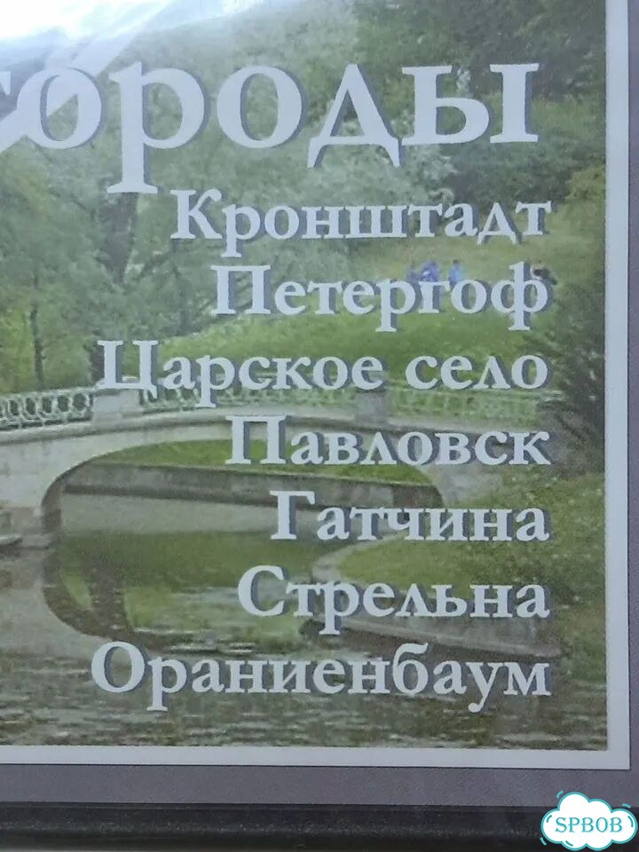 DVD диск СПб и пригороды фото 2