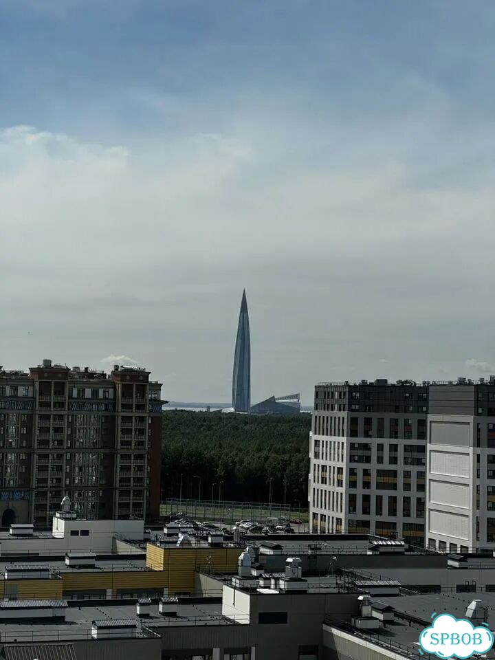 2-к. квартира, 72 м², 11/12 эт. фото 20