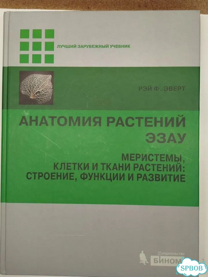 Анатомия растений эзау фото 1