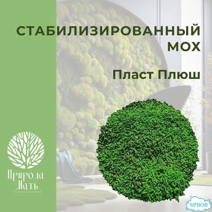 Цифровые портреты фото 9