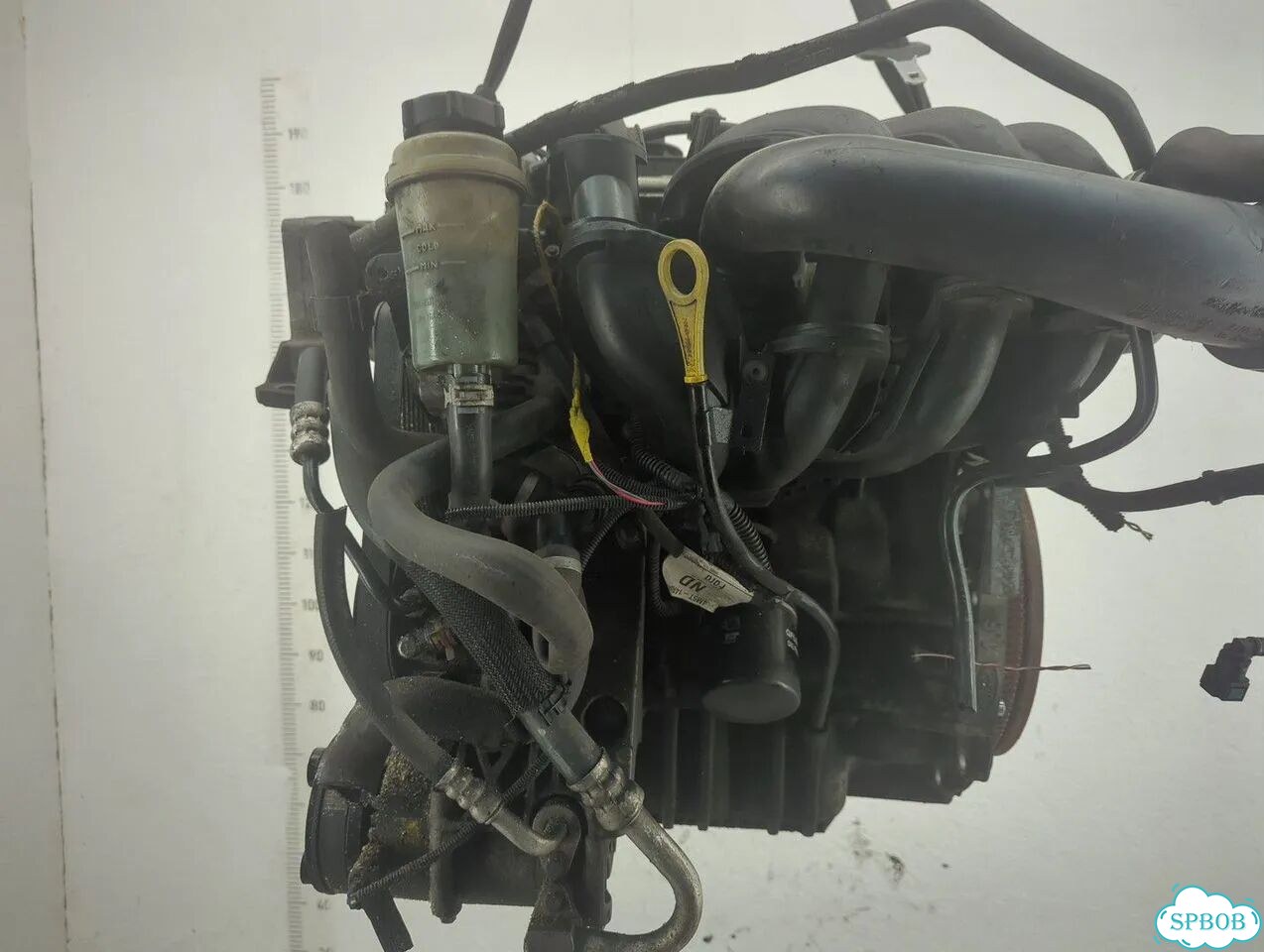 Двигатель Ford Focus 2 hwda, hwdb фото 1